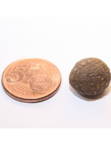Crocchetta Pesce Grain Free Dogbauer vs/ moneta da 5 cent