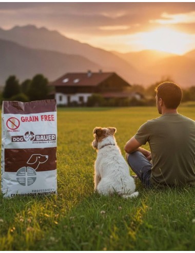 Aringhe Grain Free