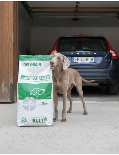 Solo Maiale Ipoallergenico Low Grain