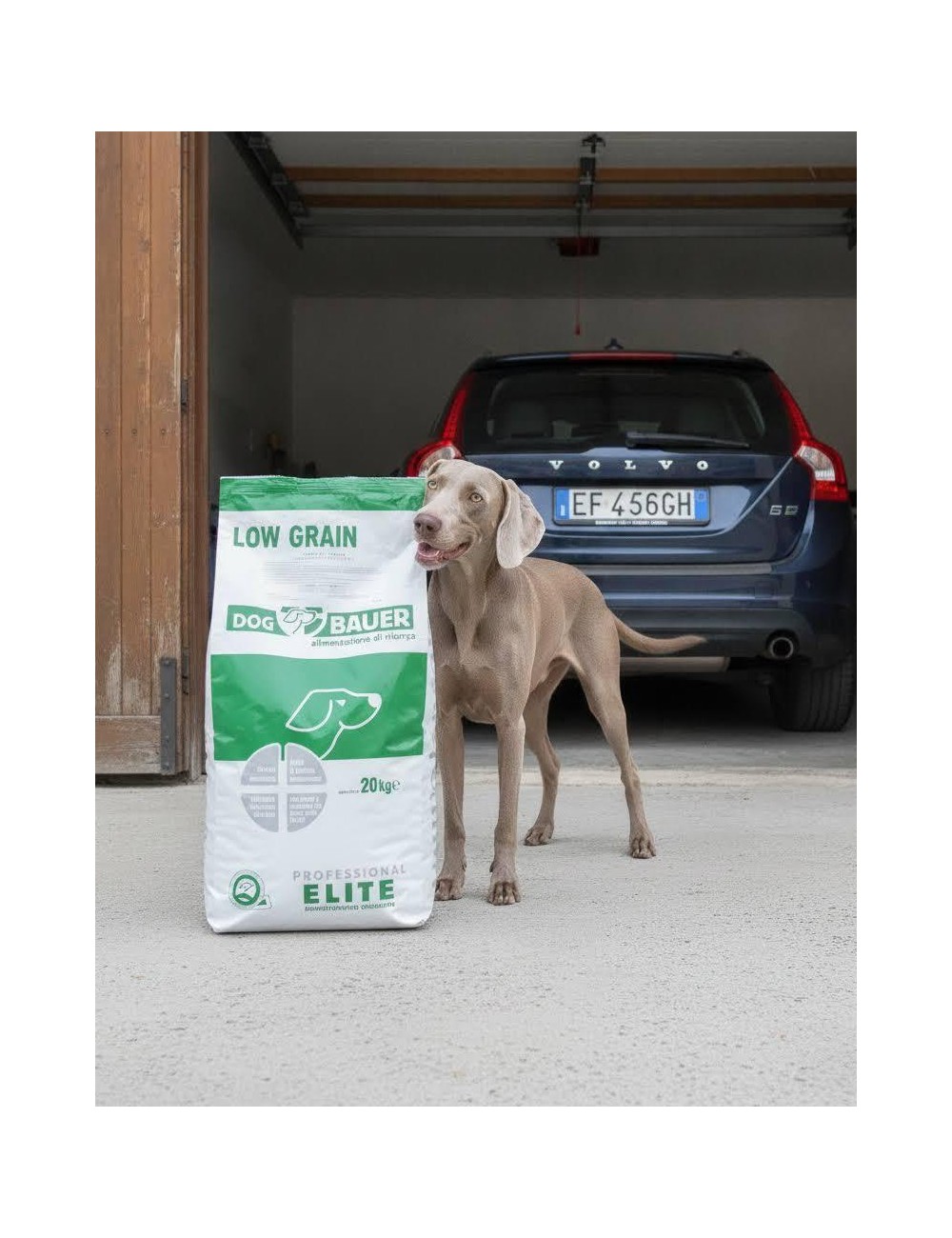 Solo Maiale Ipoallergenico Low Grain