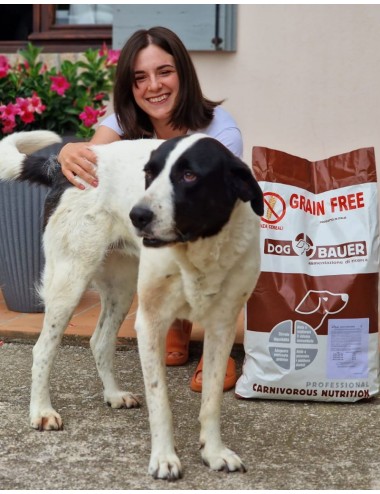 Cavallo e Patate Crocchette per cani senza cereali con Mela Melograno e Cardo Mariano