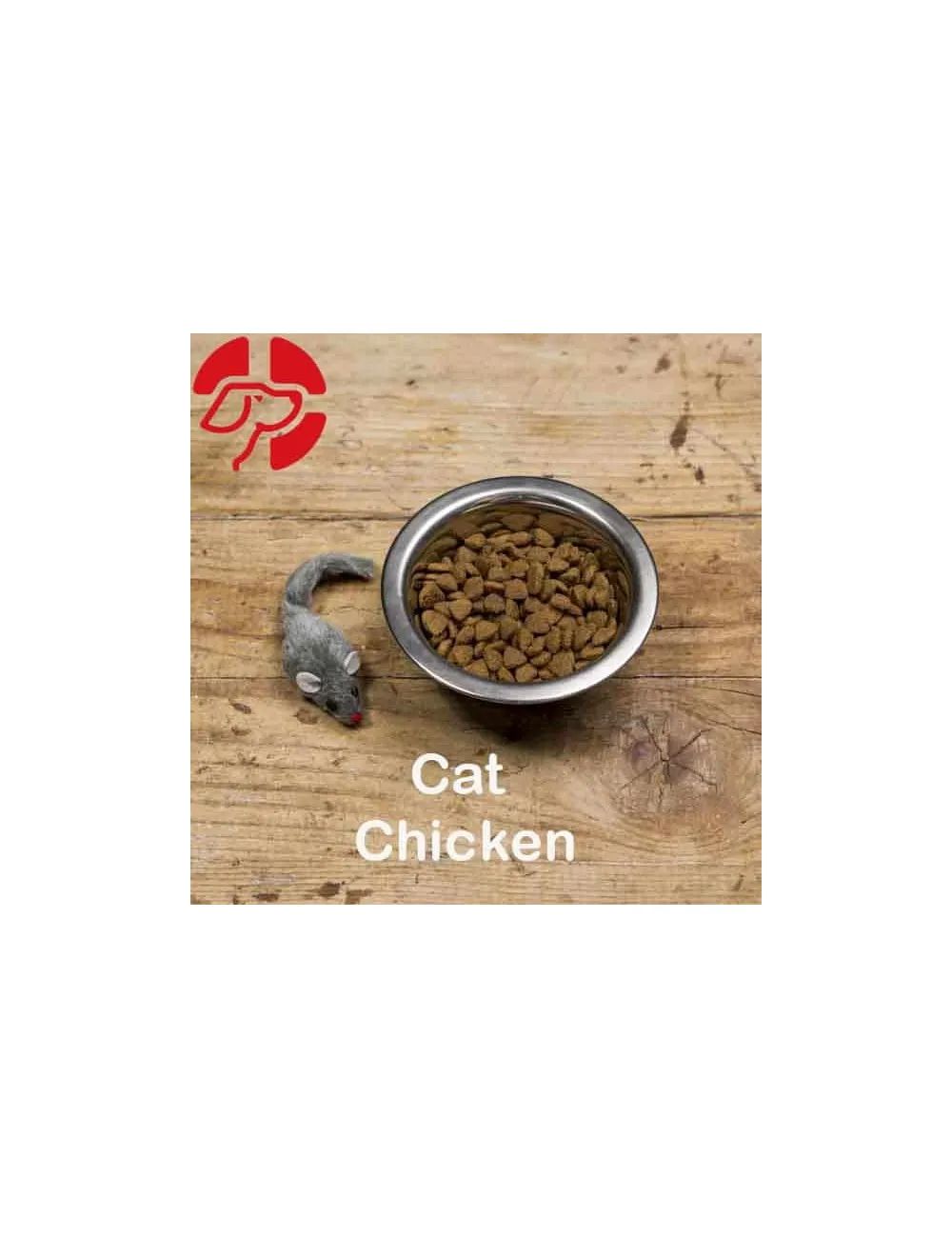 Cat Chicken